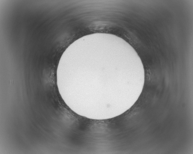 X0000055510820200508121014