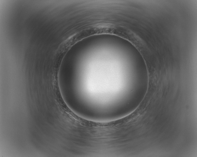 X0000055510821200508121014