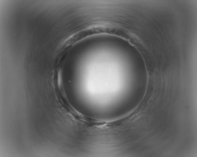 X0000055510822200508121014