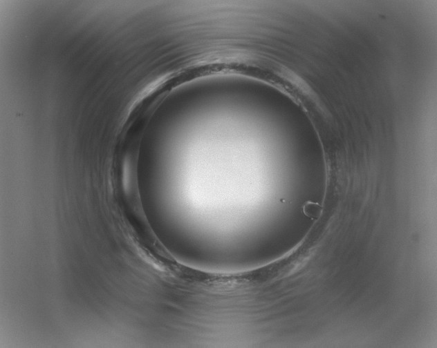 X0000055510826200508121015