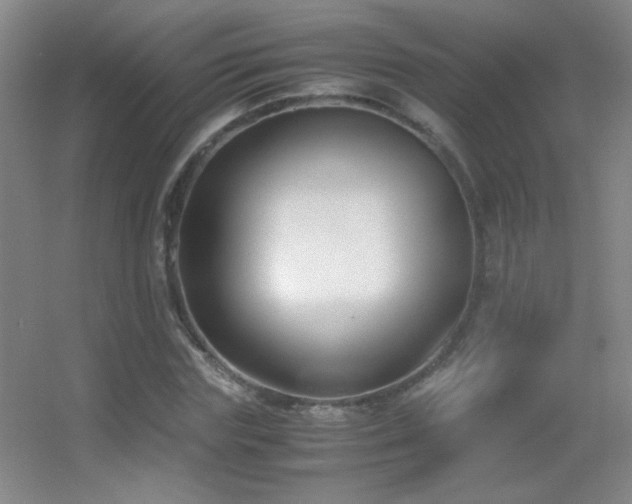 X0000055510827200508121015