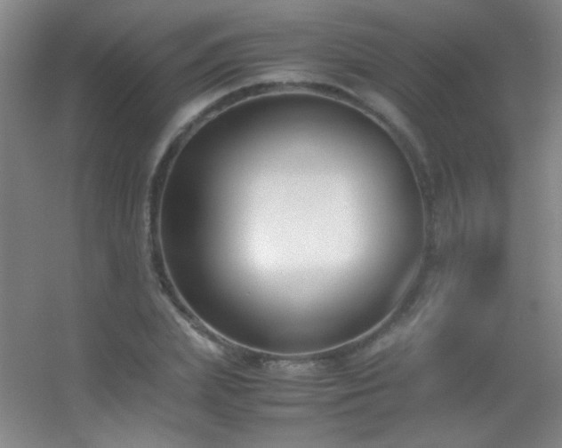 X0000055510831200508121015