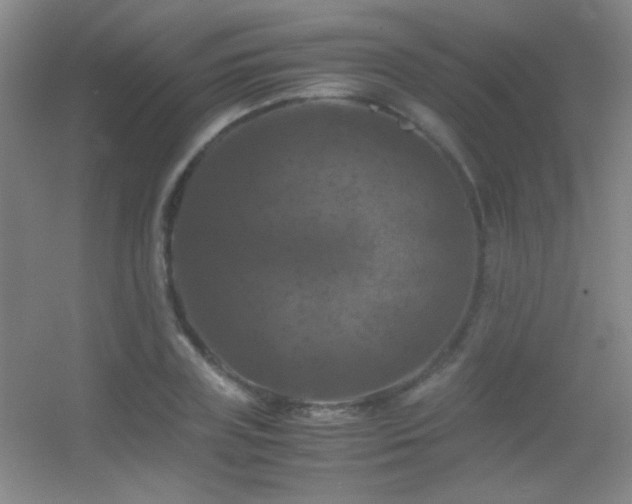 X0000055510835200508121015