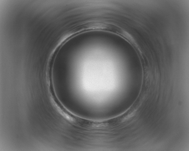 X0000055510843200508121015