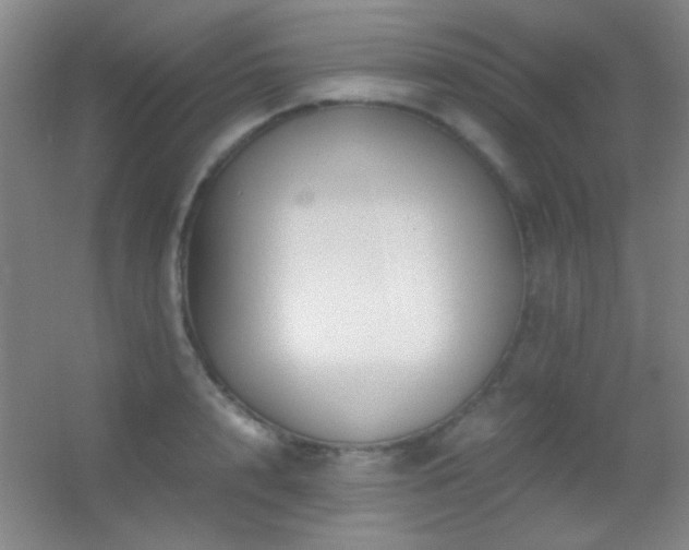 X0000055510848200508121015