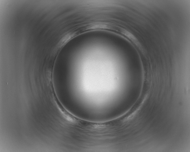 X0000055510849200508121015