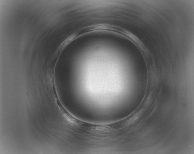X0000055510857200508121015