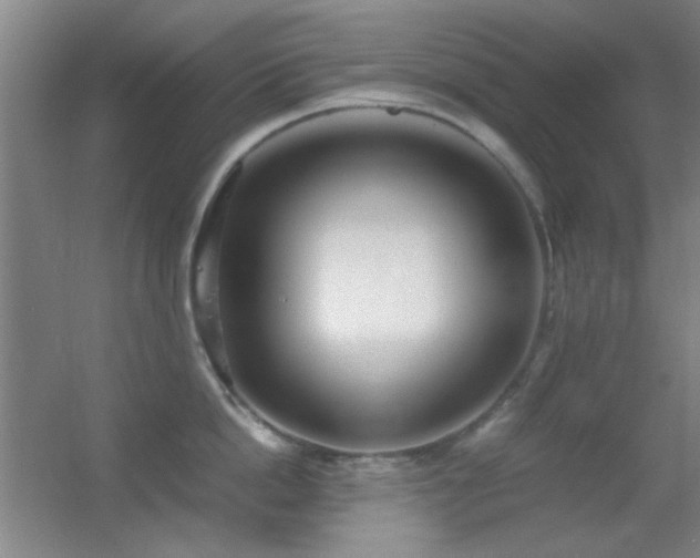X0000055510862200508121015