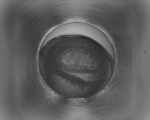 X0000055510864200508121015