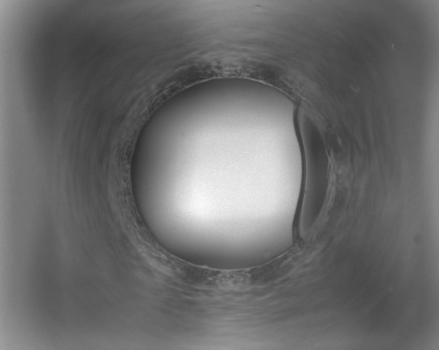 X0000055510865200508121014