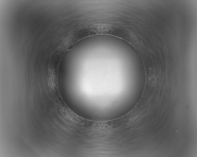 X0000055510866200508121014
