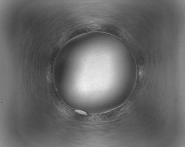 X0000055510867200508121014
