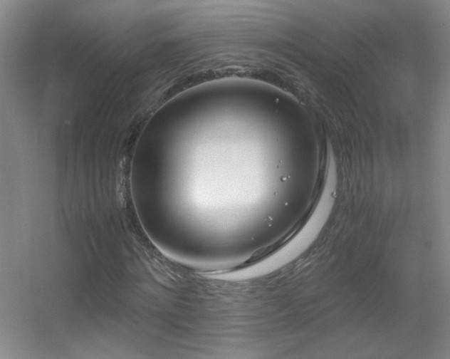 X0000055510868200508121014
