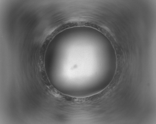 X0000055510871200508121014