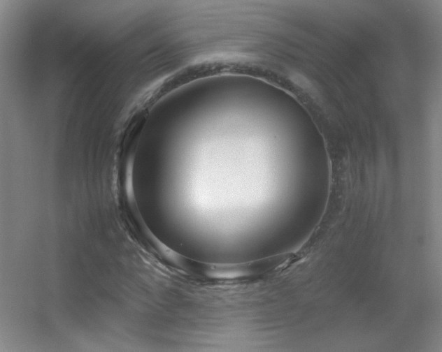 X0000055510872200508121014