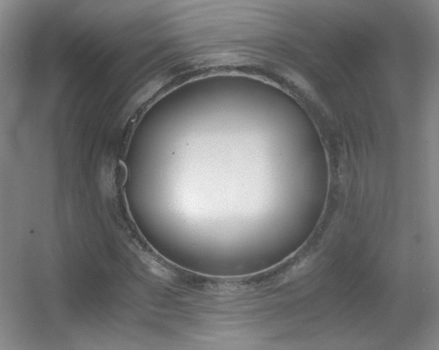 X0000055510873200508121014