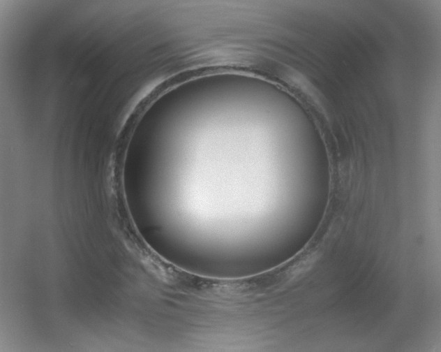 X0000055510875200508121014