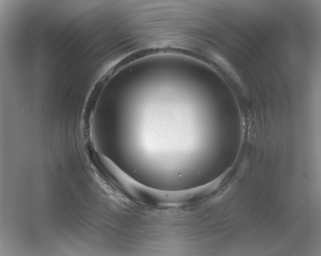 X0000055510876200508121014