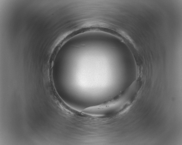 X0000055510877200508121014