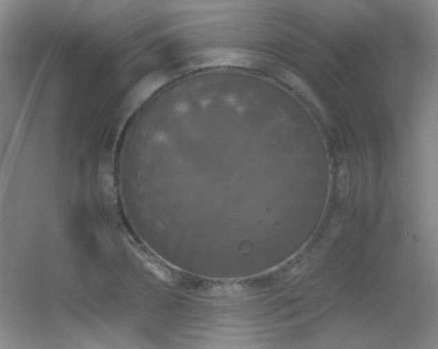 X0000055510882200508121014