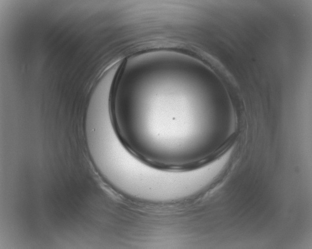 X0000055510889200508121014
