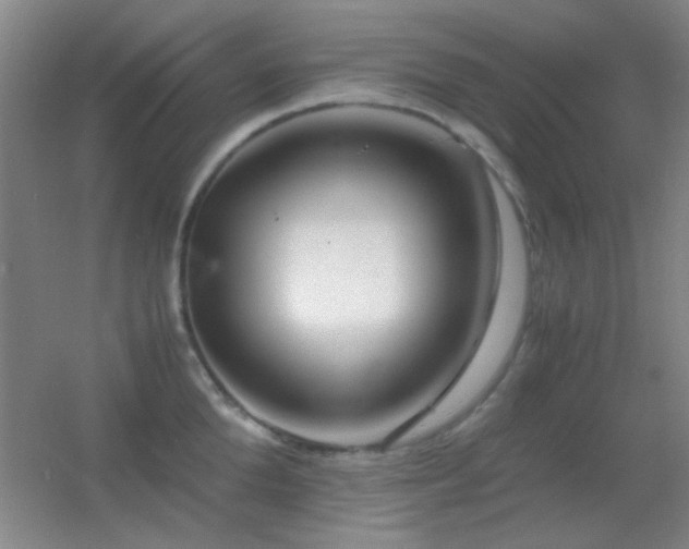 X0000055510904200508121014