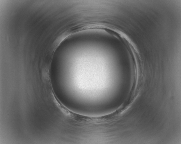 X0000055510905200508121014