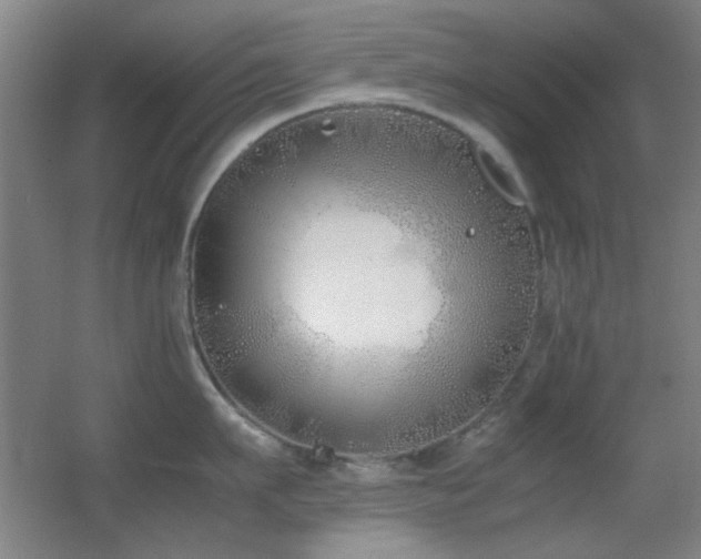 X0000055510911200508121014