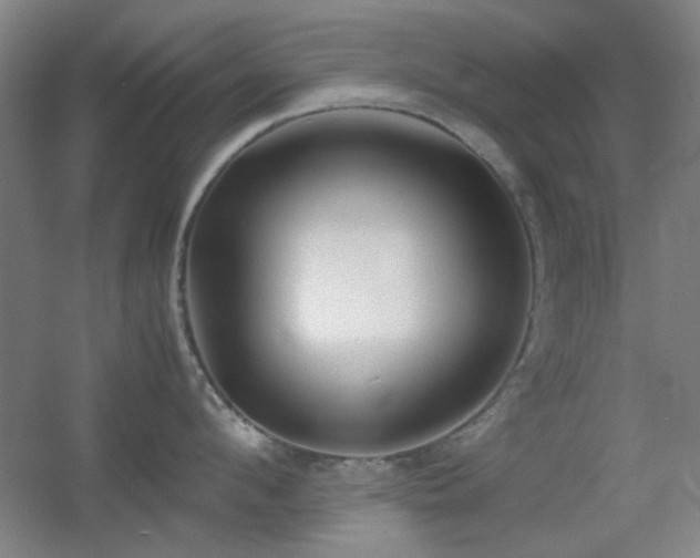 X0000055510912200508121014