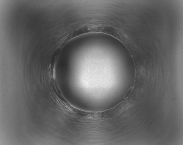 X0000055510914200508121013