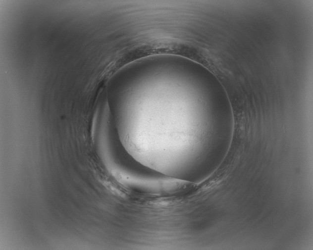 X0000055510916200508121013