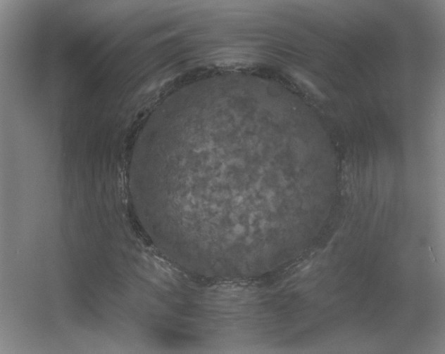X0000055510917200508121013