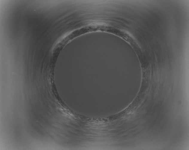 X0000055510919200508121013