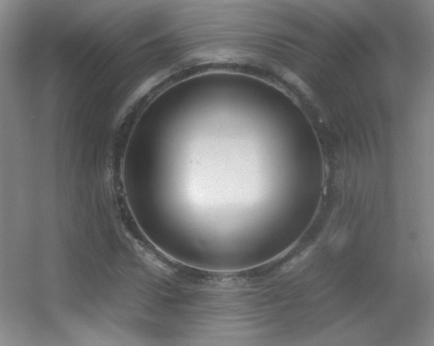 X0000055510922200508121013