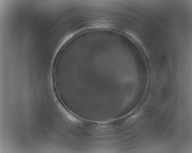 X0000055510941200508121013