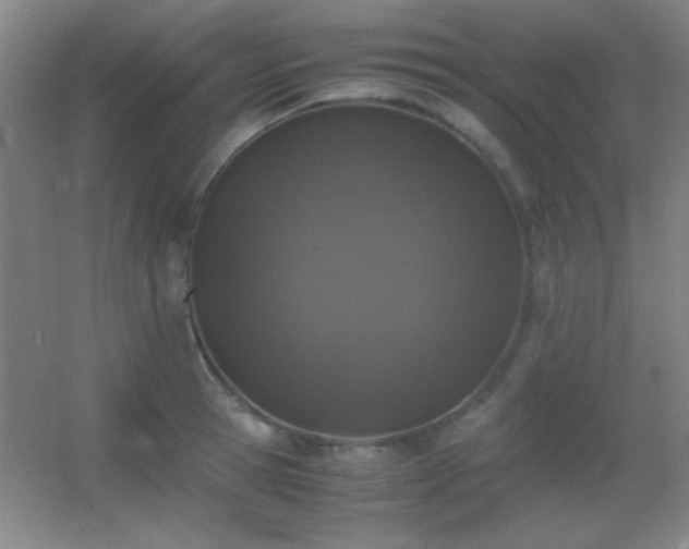 X0000055510945200508121013