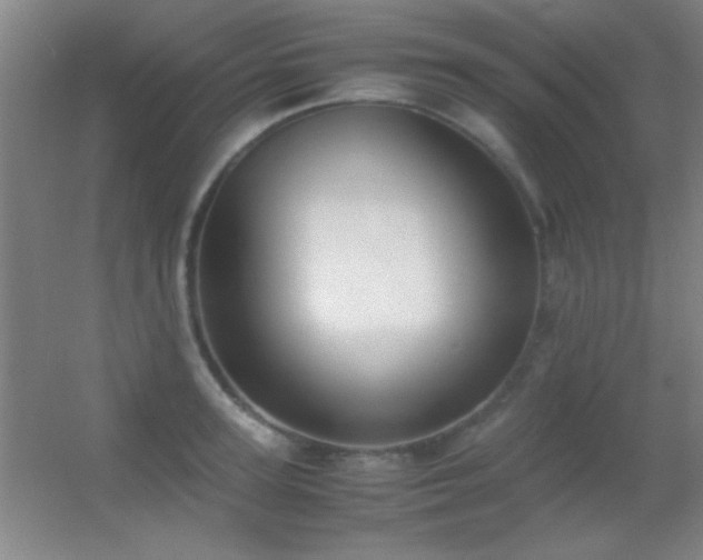 X0000055510947200508121013