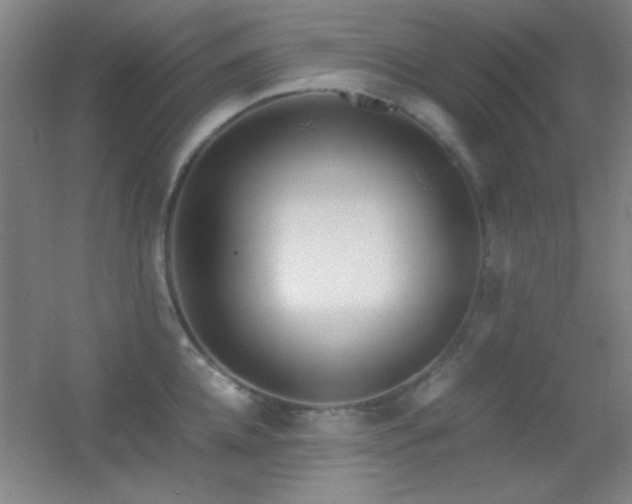 X0000055510952200508121013