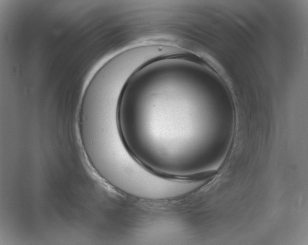X0000055510960200508121014