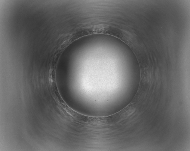 X0000055510962200508121013