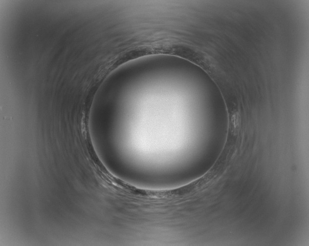 X0000055510963200508121013