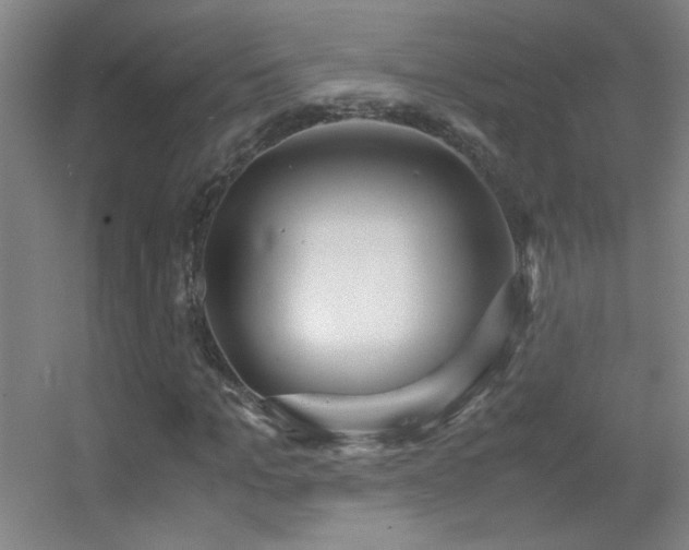 X0000055510965200508121013