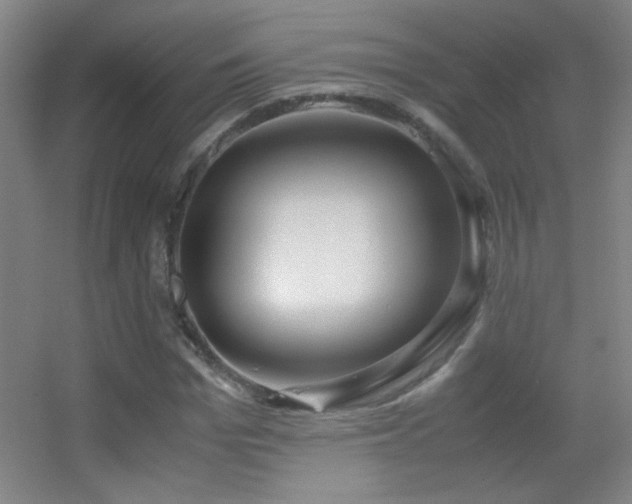X0000055510969200508121013