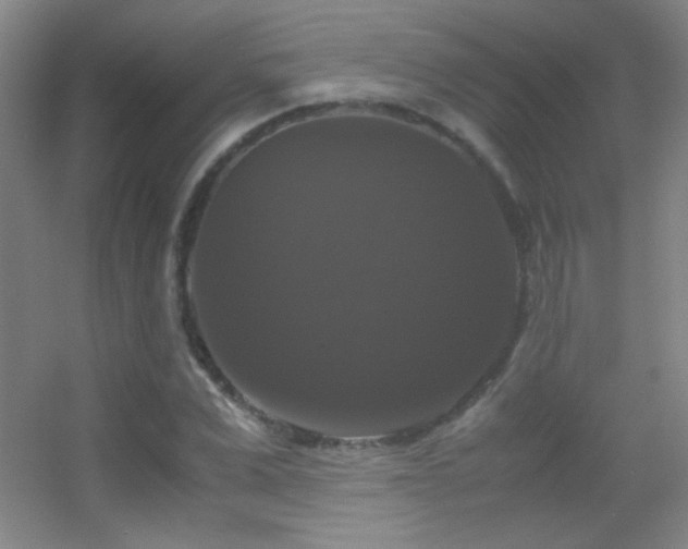 X0000055510975200508121012