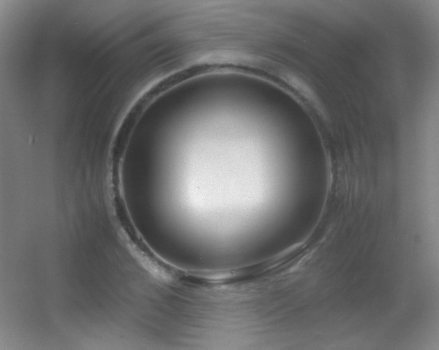 X0000055510976200508121012