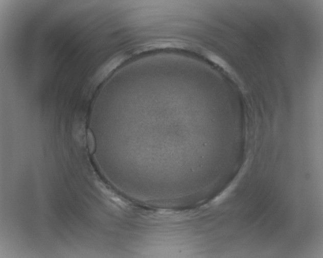 X0000055510977200508121012