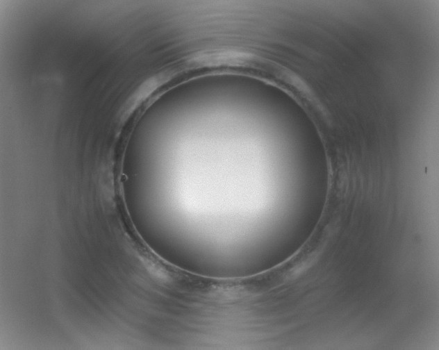 X0000055510978200508121012