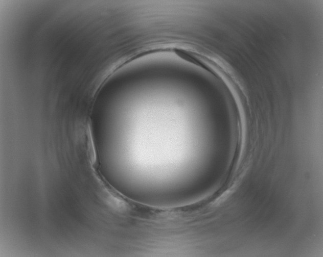X0000055510993200508121012