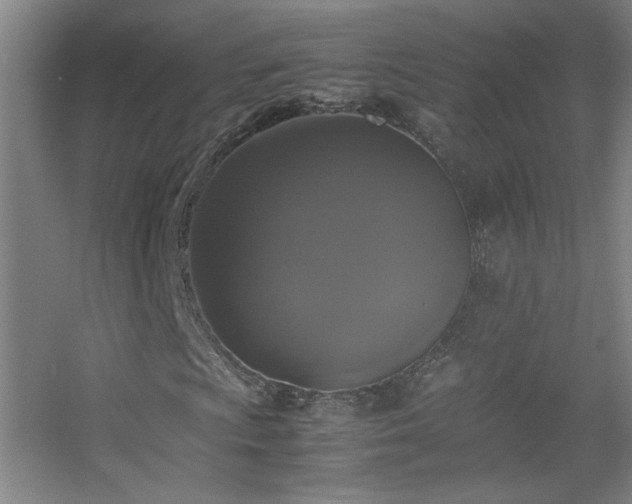 X0000055511009200508121011