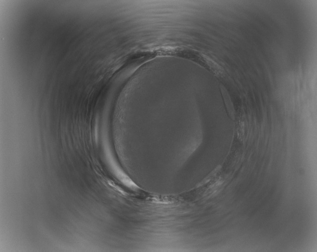 X0000055511010200508121011